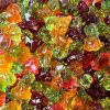 Gummy Dinosaurs